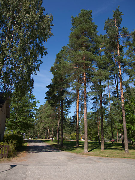 Vierem&auml;npuistoa